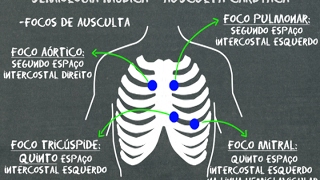 Semiologia médica Ausculta cardíaca [upl. by Brynna]