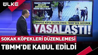 Sokak Köpekleri Düzenlemesi TBMMde Kabul Edildi İşte Detaylar [upl. by Formica]