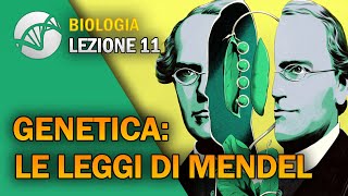 BIOLOGIA  Lezione 11  Genetica Le Leggi di Mendel [upl. by Gawlas39]