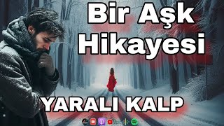 YARALI KALP  Aşk Hikayesi  Sesli Kitap  Kısa Hikayeler Sesli Hikayeler  Podcast Hikaye keşfet [upl. by Milan913]