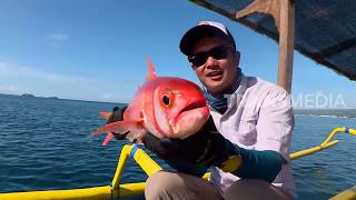 MANCING MANIA 290220 Part 1 [upl. by Graves]