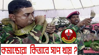 Bangladeshi Commando Eating Snake amp Fox🐍 কমান্ডোরা কি খায়  Life of a Special Force 🪂🪂 [upl. by Cyprus]