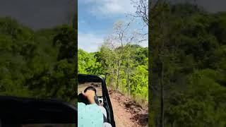 Pachmarhi tourist placesmp toursit places  shortsvideo viral travel shortsfeed song [upl. by Ahseniuq183]