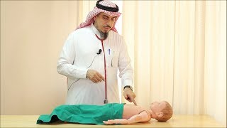 Pediatric Cardiovascular Assessment Physical Examination  Dr Zaher Faisal Zaher [upl. by Anom]