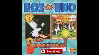 Tommy Ramirez y Los Sonorritmicos  Carino Si Te Vas [upl. by Neal]