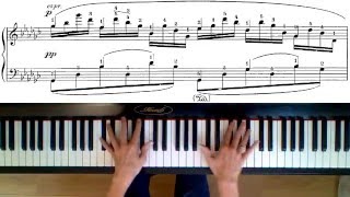 The Swan  SaintSaëntGodowsky  Ralf Pisters piano score  hands [upl. by Deva]