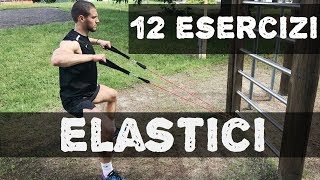 12 esercizi con gli ELASTICI [upl. by Homerus624]