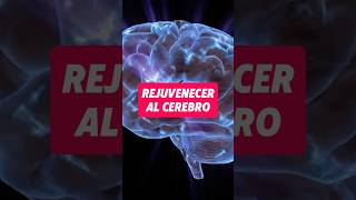 Rejuvenecer el cerebro salud cerebro vidasana consejos saludcerebral [upl. by Ahsart]