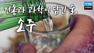 전통과 과학이 담긴 술 소주  YTN 사이언스 [upl. by Dillie]