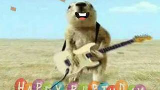 Happy Birthday Prairie Dog Style [upl. by Vince]