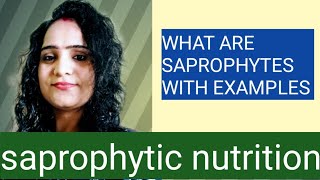 saprophytes with examples class 10 saprophytic nutritionsaprophytic nutrition in mushroom [upl. by Zulema]