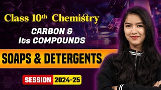 Soaps and Detergents  Carbon amp Its Compounds  Class 10 Chemistry Chapter 4 [upl. by Dove]