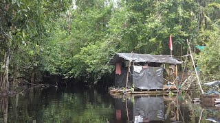 MALAM KE  4 DI HUTAN RAWA DAN PANEN PERANGKAP IKAN PUN TERJADI SAAT AIR RAWA SEMAKIN SURUT [upl. by Gualterio]