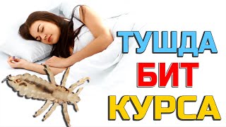 Тушда Бит курса  Tushda Bit korsa [upl. by Child]