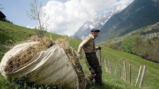 Doku In steiler Höh  Salzburger Bergbauern HD [upl. by Noelle]