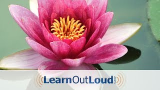 The Dhammapada  Full Audiobook [upl. by Antoinetta501]