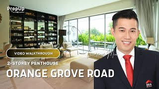 Orange Grove Residences Penthouse Tour [upl. by Kippy649]