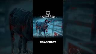 DEMOCRACY LEGALESE DEFINITIONhistory facts legalhistory legalese booktok democracy democrat [upl. by Uoliram]