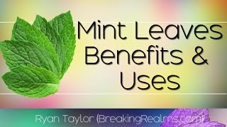 Mint Leaves Health Benefits and Uses [upl. by Morse244]