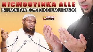 NICMOOYINKA ALLA KU SIIYAY KA FAAIDEYSO EENA KU QANAC ᴴᴰ┇Sh Maxamuud Xaliike [upl. by Bouchard445]