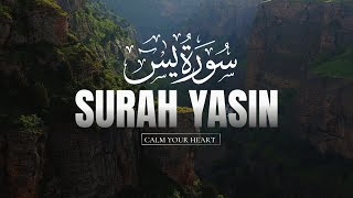 SURAH YASIN  CALM YOUR HEART  LOFI QURAN  surahyasin [upl. by Elodie]