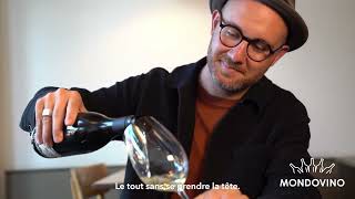 Vin  Cest simple  Nouveauté chez Mondovino  Dominik Inal [upl. by Hines]