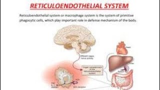 Mnemonics to remember Cells of the reticuloendothelial system and their location [upl. by Derril]