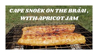 How to braai Snoek with apricot jam [upl. by Okoyk452]