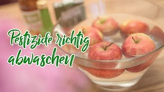 Gemüse mit Natron waschen  roh vegan genießen ohne Pestizide [upl. by Meakem824]