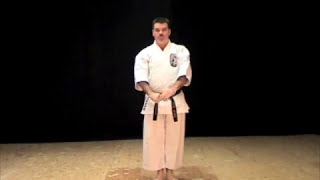 Naihanchi Kata of IsshinryuRyu Karate Michael Calandra [upl. by Jesse]