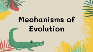 Mechanisms of Evolution [upl. by Ylicis469]