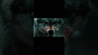 Out Come the Wolves  Official Trailer  HD movie shorts trailer [upl. by Broida912]