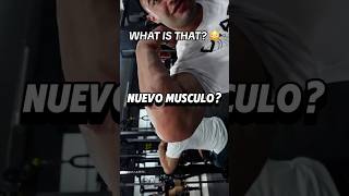 Hernia muscular o lipoma🧐 gimnasio gym shortgym short culturismo gymtips consejosgym [upl. by Sybyl]