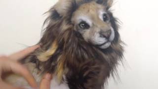 Fantasy lion art doll [upl. by Auhsot]