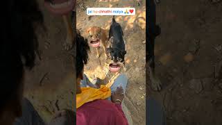 funny chhathpuja trending [upl. by Guillema702]