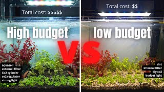 CHEAP AQUARIUM💰 VS EXPENSIVE AQUARIUM💰💰💰WILL IT MAKE A BIG DIFFERENCE [upl. by Gerladina175]