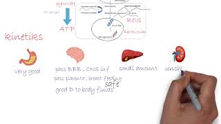 Metronidazole Flagyl  Antibiotics شرح [upl. by Trammel1]