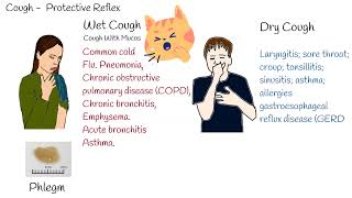 Types of cough dry and wet cough Common causes of different cough [upl. by Andeee]