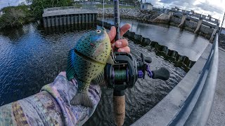 My First Time Fishing a Spillway [upl. by Jude]