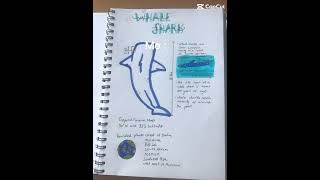 Haven’t been posting lately just haven’t been doing much drawing marinebiology art journal [upl. by Surat]