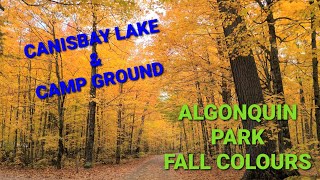 Algonquin Provincial Park Autumn Season  Canisbay Lake and Campground  4K [upl. by Beck]