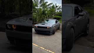 hellcat dodgechallengerhellcat automobile republicadominicana challengerhellcat dodgedemon [upl. by Halihs]