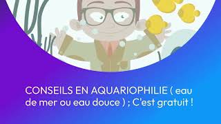 CONSEILS EN AQUARIOPHILIE  eau de mer ou eau douce [upl. by Blynn]