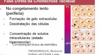 Palestra CRIOCIRURGIA na Medicina Veterinária por Alexandre Figueiredo 2014 [upl. by Mccormick]