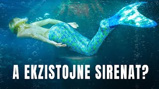 E Verteta Rreth Sirenave • Fakte Interesante [upl. by Zul]