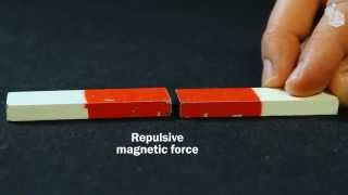 Video Lab Magnetic forces [upl. by Cline]