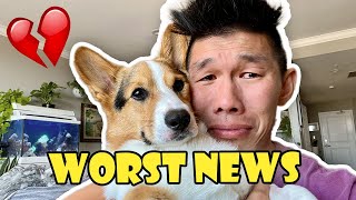 Heartbroken The Worst News About My Corgi  Life After College Ep 742 [upl. by Brottman663]