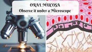 ORAL MUCOSA Observe it under a Microscope [upl. by Schuman]