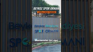 Beykoz Spor Ormanı Koşu ve Bisiklet Parkuru [upl. by Euphemiah]