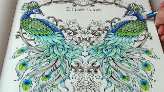 How I color peacock Tutorial 1 Jewelry Box Hanna Karlzon Prismacolor [upl. by Maer]